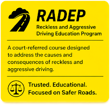 Reckless and Aggressive Driving Education Program